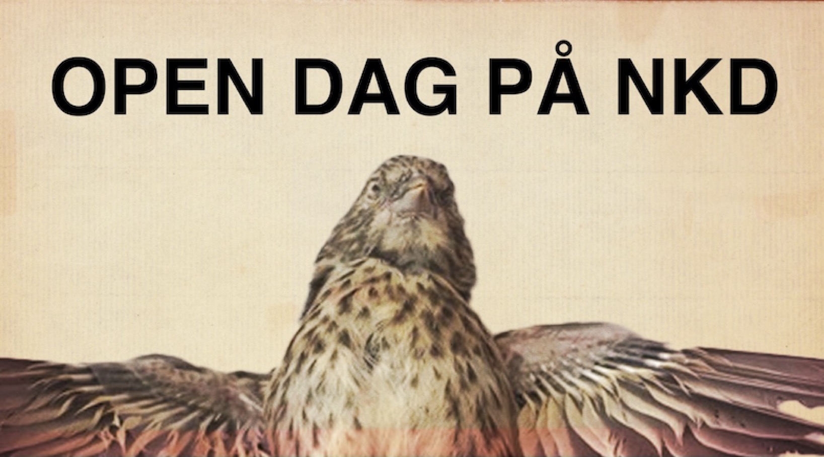 Open Day 20.09.2025
